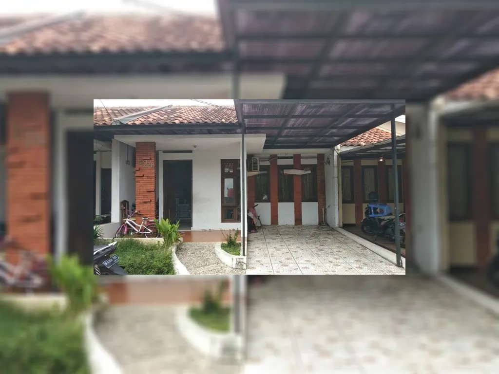 WhatsApp Image 2023-02-03 at 15.40.41.jpeg